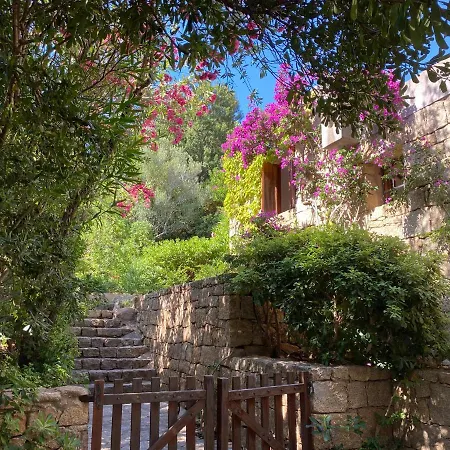 Ferienhaus Domus Olivarum -costa Smeralda 7 Persone, 4 Pk, Wifi, Grande Giardino *