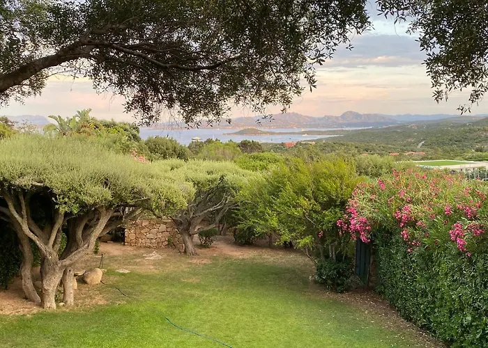 Domus Olivarum -costa Smeralda 7 Persone, 4 Pk, Wifi, Grande Giardino アッビアドリ