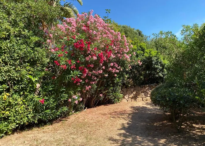 別荘 Domus Olivarum -costa Smeralda 7 Persone, 4 Pk, Wifi, Grande Giardino *
