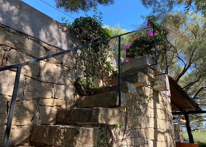 別荘 Domus Olivarum -costa Smeralda 7 Persone, 4 Pk, Wifi, Grande Giardino
