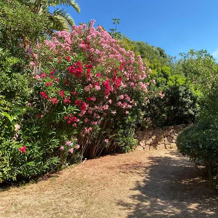 Semesterbostad Domus Olivarum -costa Smeralda 7 Persone, 4 Pk, Wifi, Grande Giardino *