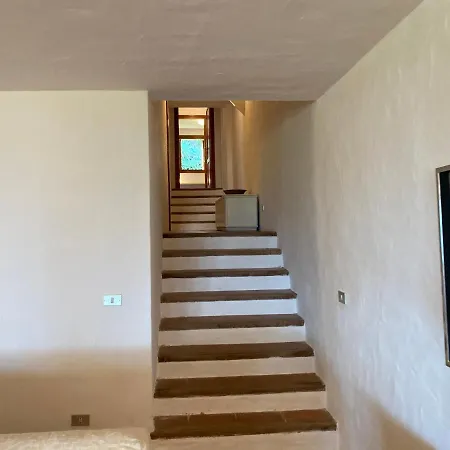 Vakantiehuis Domus Olivarum -costa Smeralda 7 Persone, 4 Pk, Wifi, Grande Giardino *