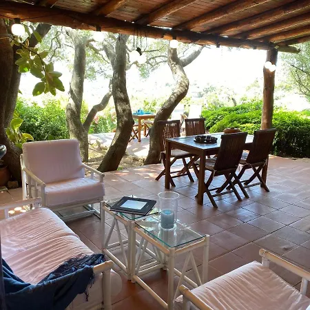 Domus Olivarum -costa Smeralda 7 Persone, 4 Pk, Wifi, Grande Giardino Hébergement de vacances *