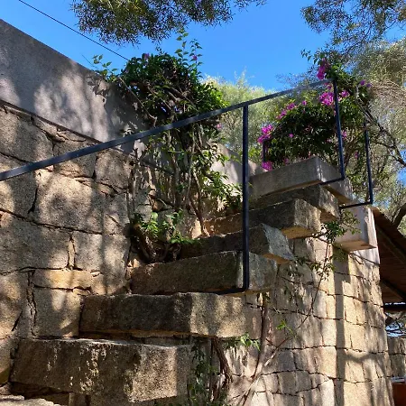 Hébergement de vacances Domus Olivarum -costa Smeralda 7 Persone, 4 Pk, Wifi, Grande Giardino